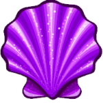 coquillage